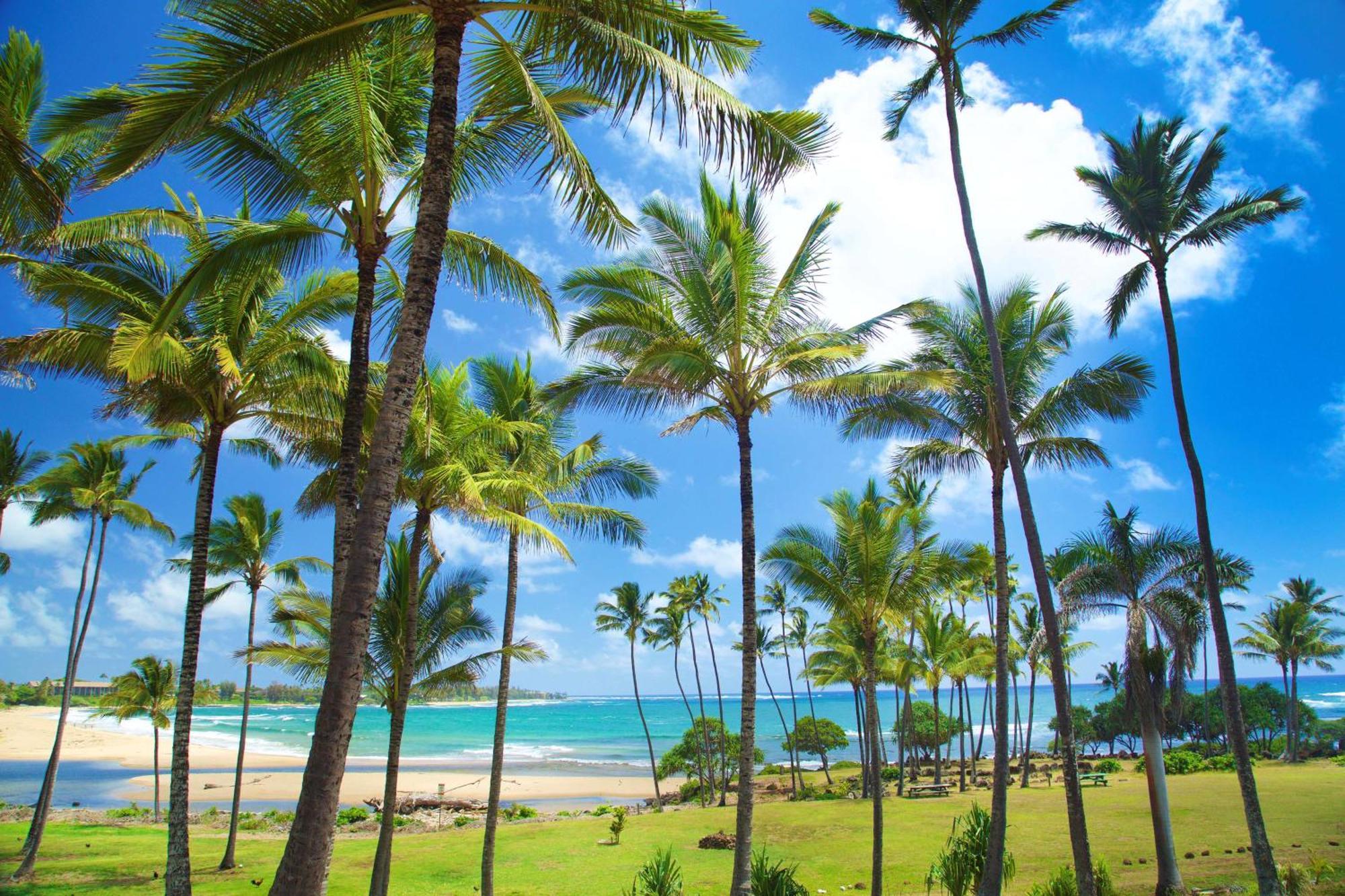 קאפה Hilton Garden Inn Kauai Wailua Bay, Hi מראה חיצוני תמונה